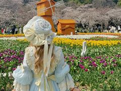 -苏州上方山国家森林公园