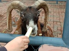 -长白岛森林公园