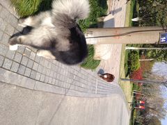 iphone_upload_pic-三锐体育游泳中心
