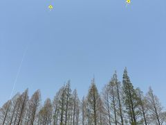 -瀛洲公园