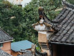 -杨家堂村