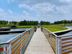 -春花秋色城市公园