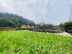 -韶山毛泽东同志故居