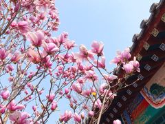 -丰台花园
