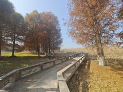 -阳澄湖半岛旅游度假区