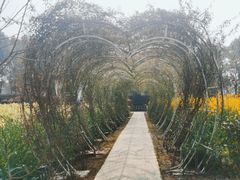 -洪湖家庭农场·团建·露营·会议
