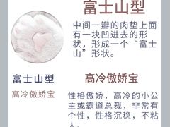 -翊宠yipet猫狗购宠庄园犬舍•猫舍