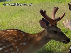 -良渚古城遗址公园