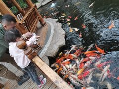 -龙达温泉生态城