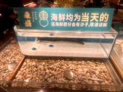 -東盛炭烤自助料理(玄武招商花园城店)