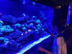 -暹罗海洋世界