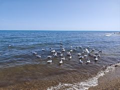 -青海湖国家重点风景名胜区
