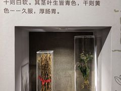 -北京中医药大学-中医药博物馆
