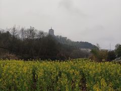 -涵家味土菜馆·徽州一绝臭鳜鱼(三河古镇店)