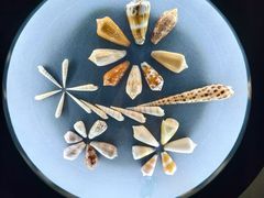 -中国湿地博物馆