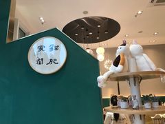 -飞行喵MR PILOT|猫舍·猫咖(静安大融城店)