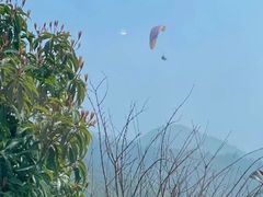 -长沙黑麋峰国家森林公园