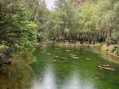 -沕沕水生态风景区