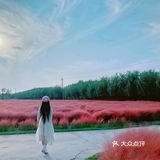 济南最大免费粉黛子