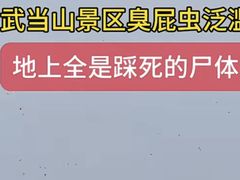 -武当山风景区