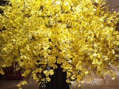 -长沙芙蓉国温德姆至尊豪廷大酒店 - 自助餐厅