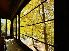 -长白岛森林公园