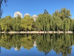 -团结湖公园
