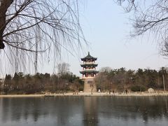 -莱西月湖公园