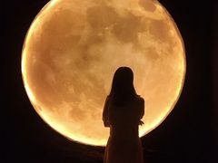 -武汉5D星空错觉艺术馆(中心百货店)