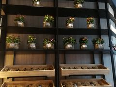 -西堤牛排(合肥之心城店)