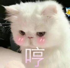 -红跑车HPCBAKERY(汉商店)