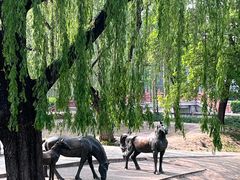 -元大都城垣遗址公园