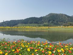 -径山花海