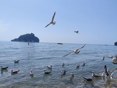 -棒棰岛宾馆景区