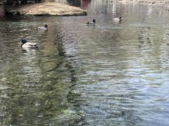 -水磨沟公园