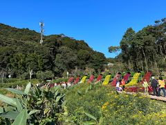 -广州市石门国家森林公园