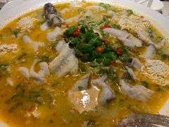 -川味堂·四川豆花(八卦岭店)