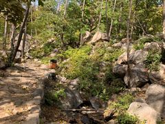 -大岭沟猕猴桃谷风景区