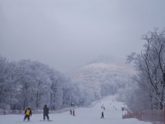 -中旅松花湖滑雪场