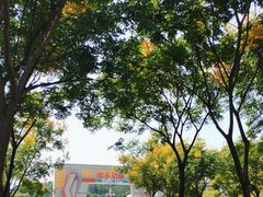 -黄陂区野村谷景区