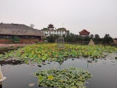 -白洋淀景区