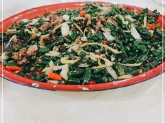 -东吴霸王兔(松青路店)