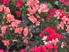 -甘肃国际会展中心