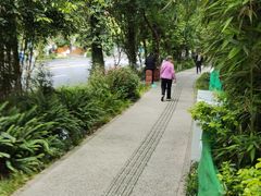 -成都市活水公园