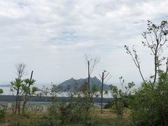 -大京沙滩