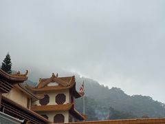 -深圳仙湖植物园