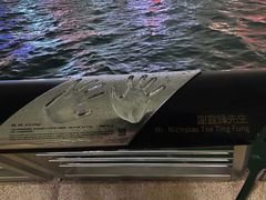 -星光大道