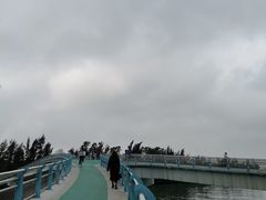 -万绿园
