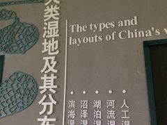 -中国湿地博物馆