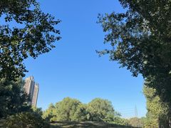 -长白岛森林公园